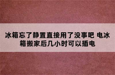 冰箱忘了静置直接用了没事吧 电冰箱搬家后几小时可以插电